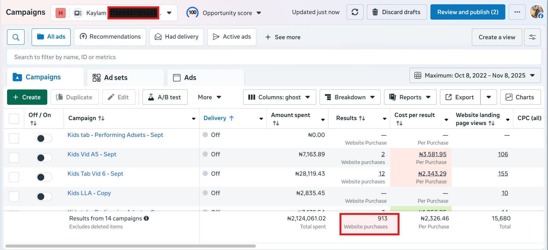 Client ad account results — replace this image in Elementor